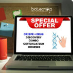 shutterstock_255297163-1-1024×624